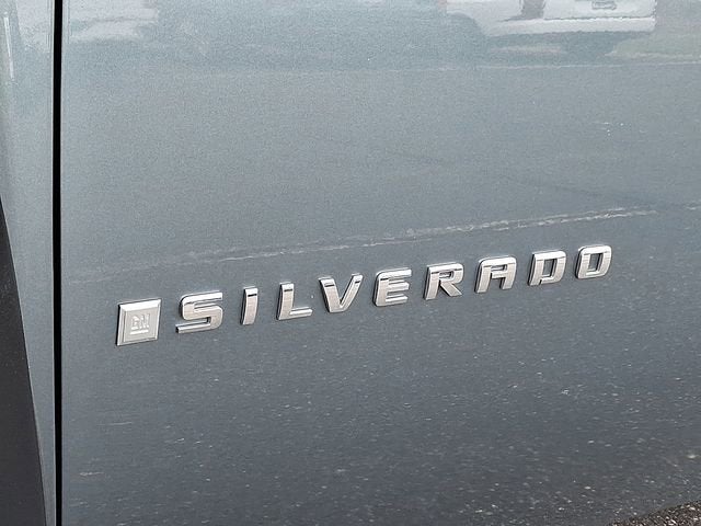 2009 Chevrolet Silverado 1500 Work Truck